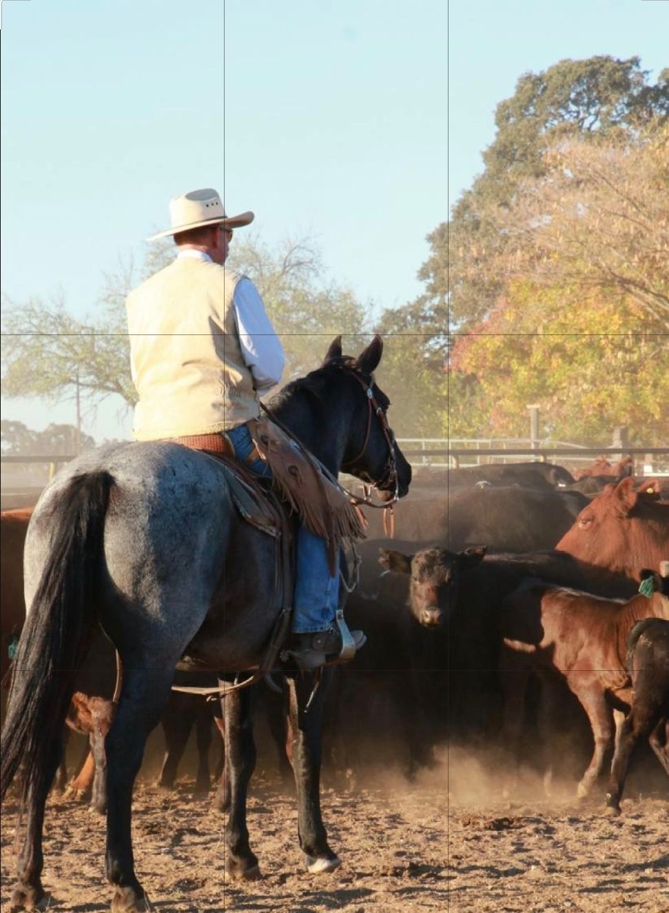 Allen Maxwell Jr. Celebration of Life