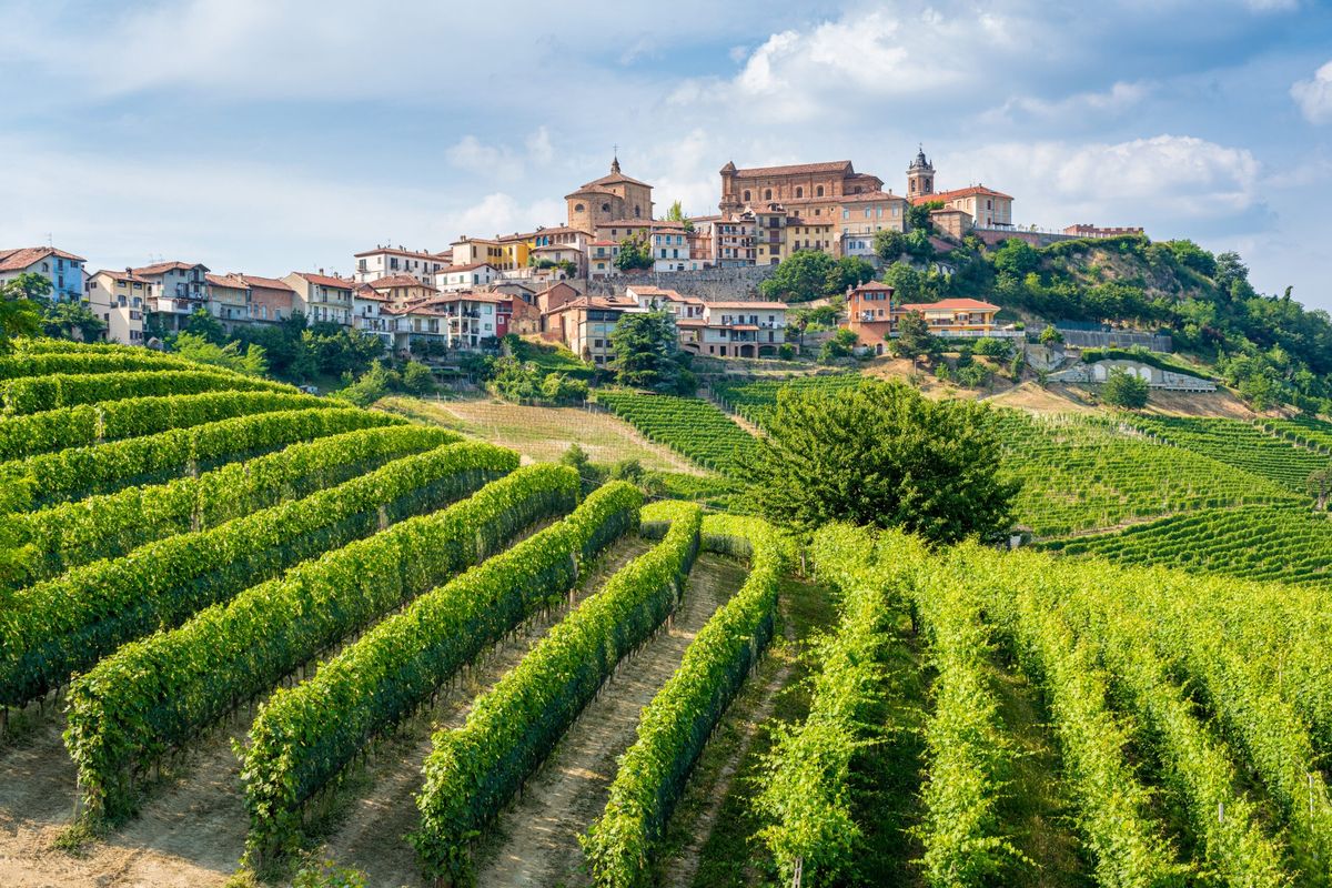 Vinkveld Piemonte