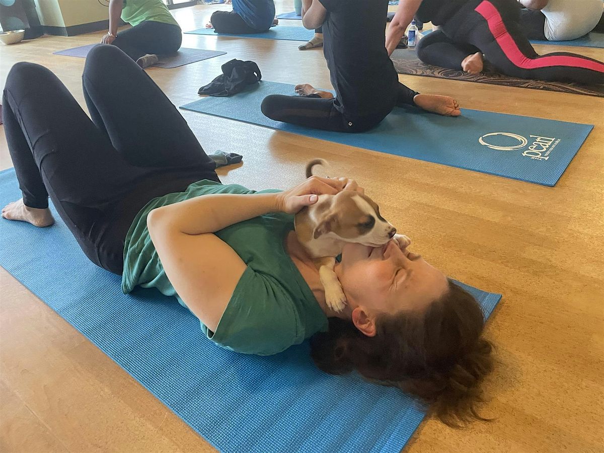 Doggy Noses & Yoga Poses at Crunch Fitness Hackettstown