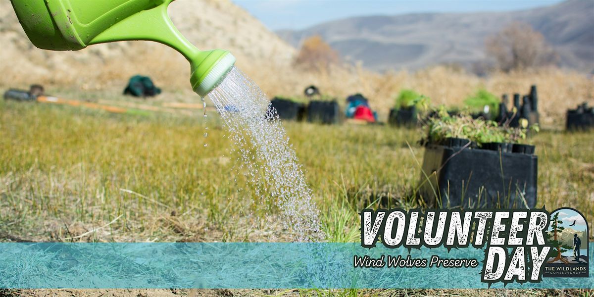 Volunteer Day: Plant Watering -  Wind Wolves Preserve
