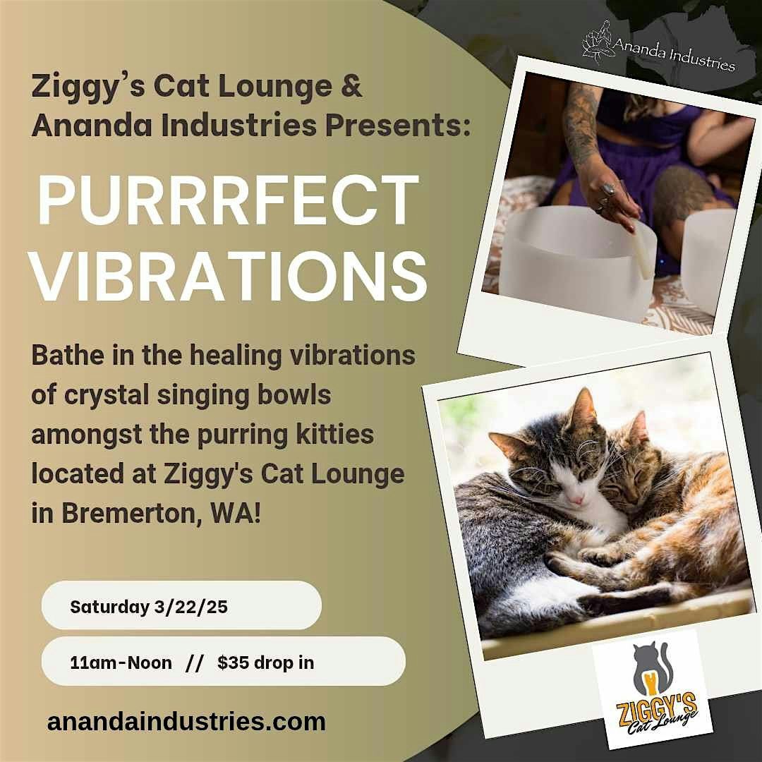 Purrfect Vibrations