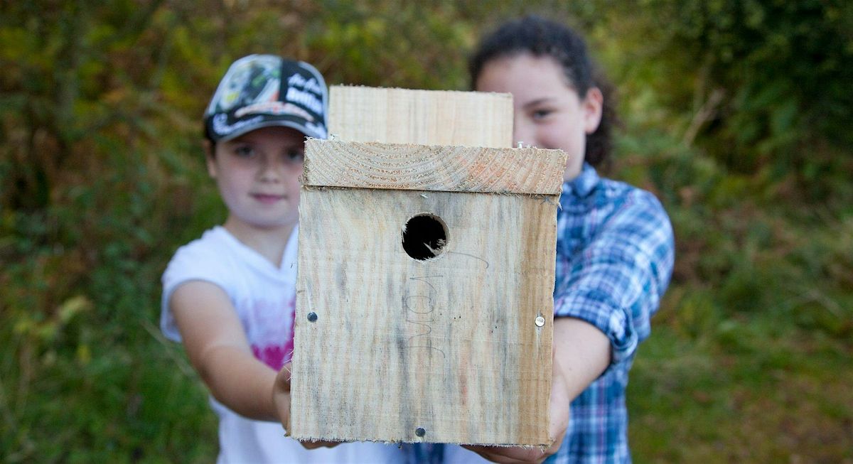 Hanningfield Bird Box Building