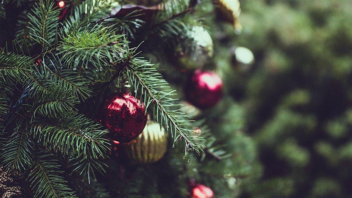 N&N Society Christmas Drinks Party (Members and Invited Guests only)