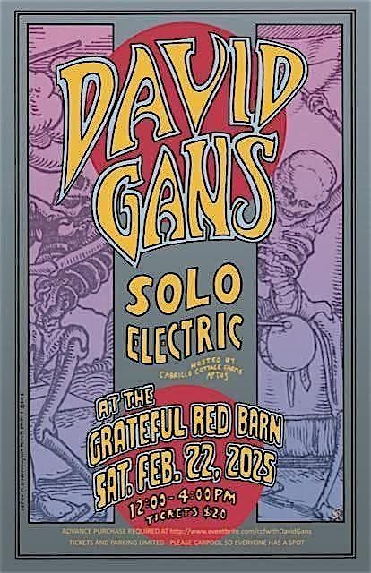 David Gans - Solo Electric