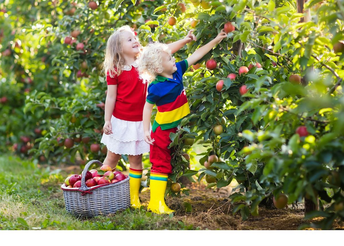 Wee Wednesday - Happy Harvesting