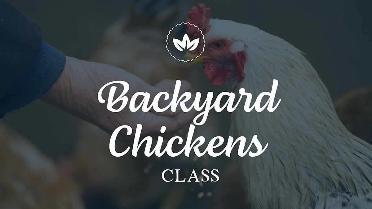 Backyard Chickens Class