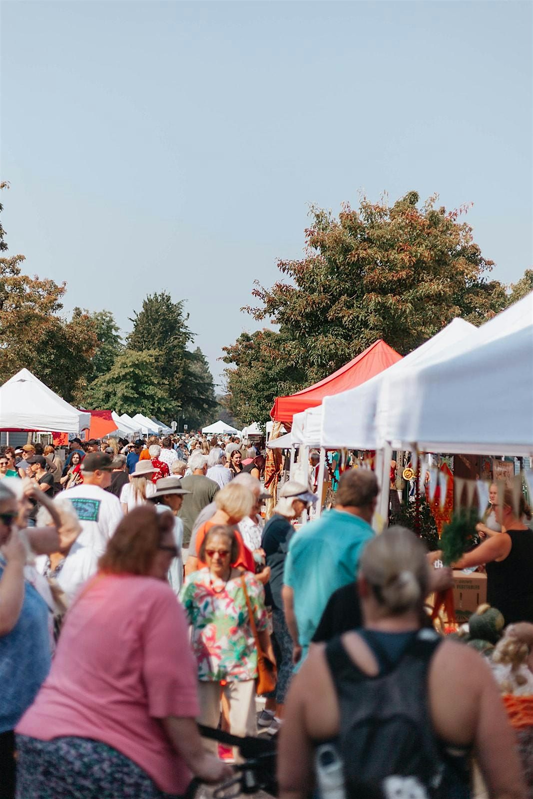 Ladner Village Market