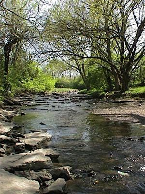 Bluegrass Watershed Summit