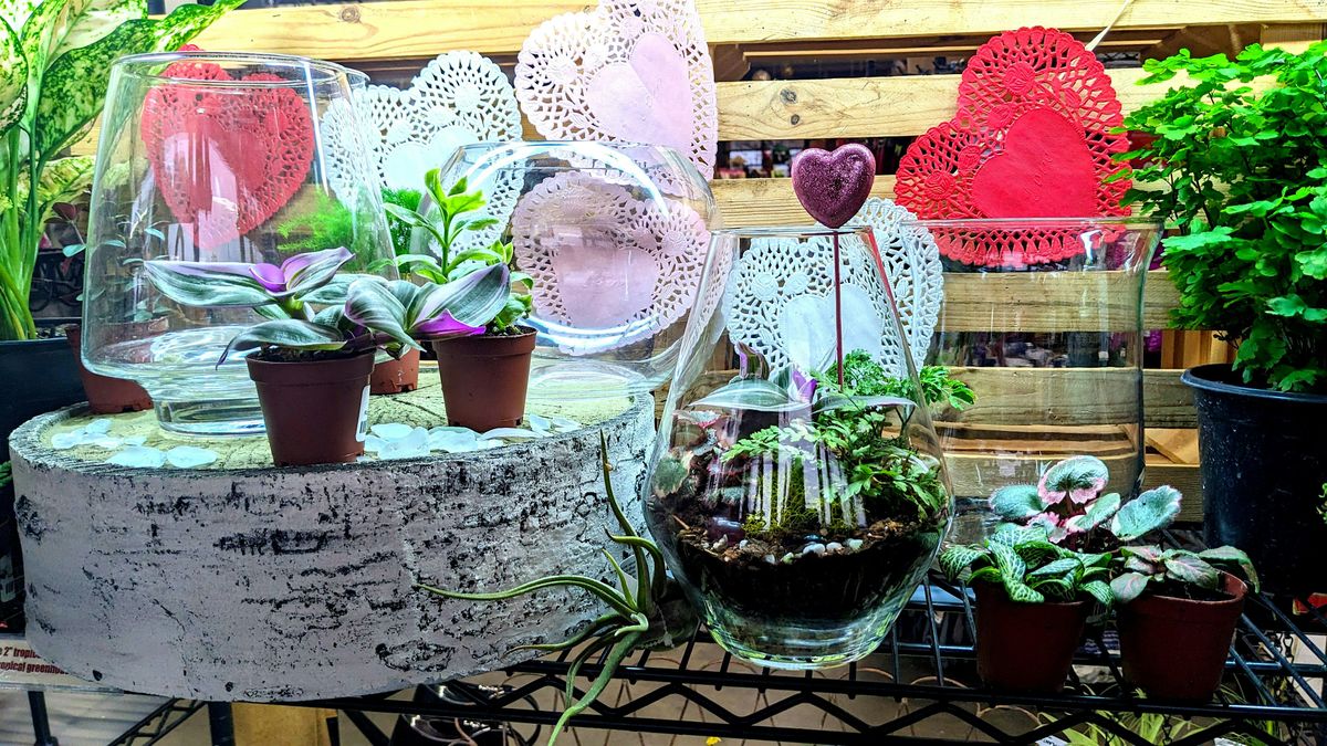 Terrarium Workshop \u2013 A Fun  Valentine Make & Take!