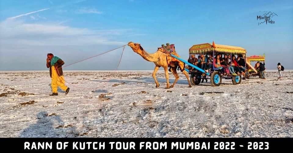 Rann Utsav - Safed Rann Tour From Mumbai 2022- 2023