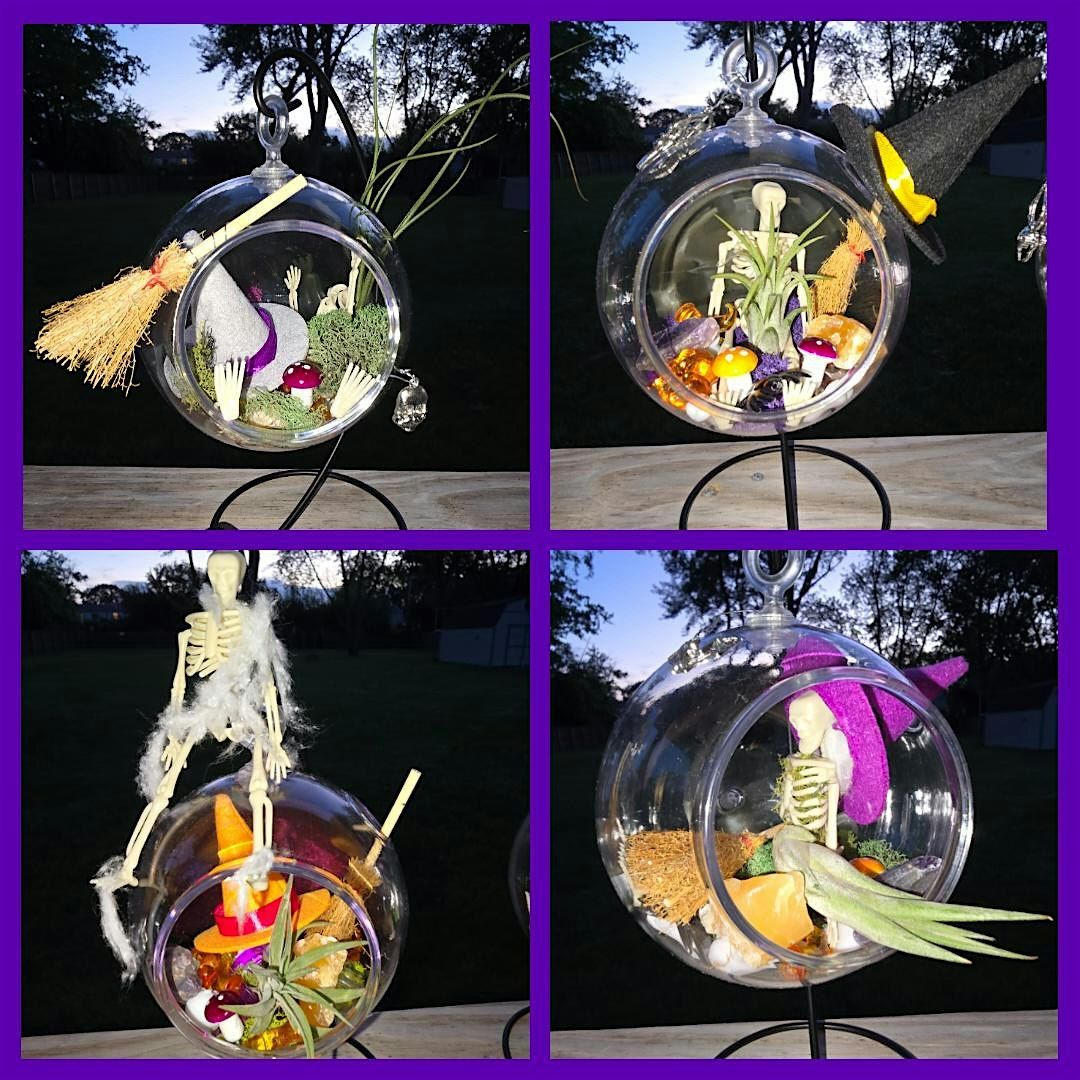 Spooky Air Plant Terrarium