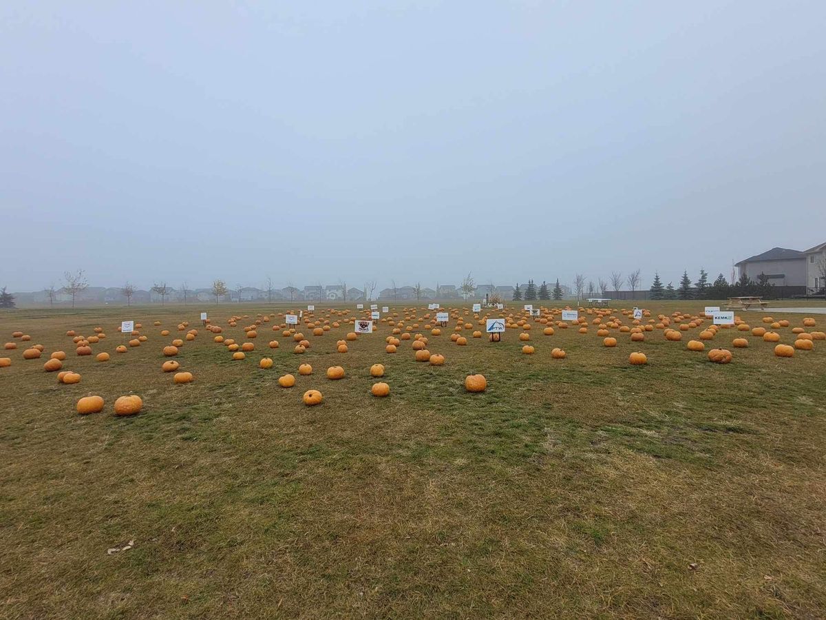 Riverstone Annual Pumpkin Patch