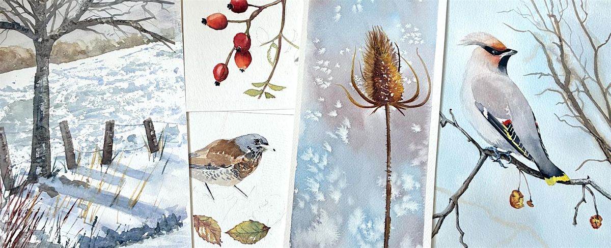 The Naze - Winter Birds and Frosty Berries Drawing and Painting Class