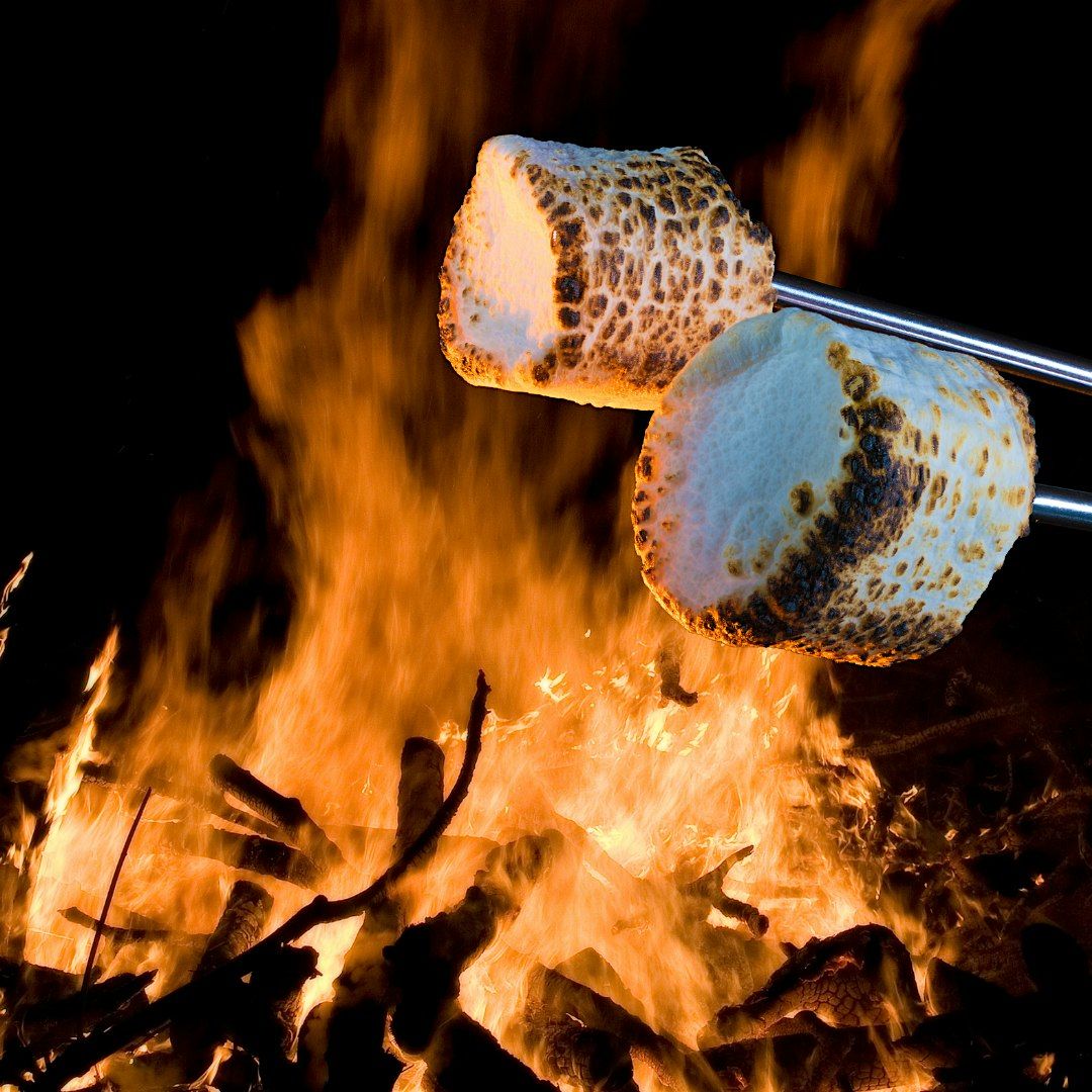 Sparks & S\u2019mores | A Treetop Night Adventure