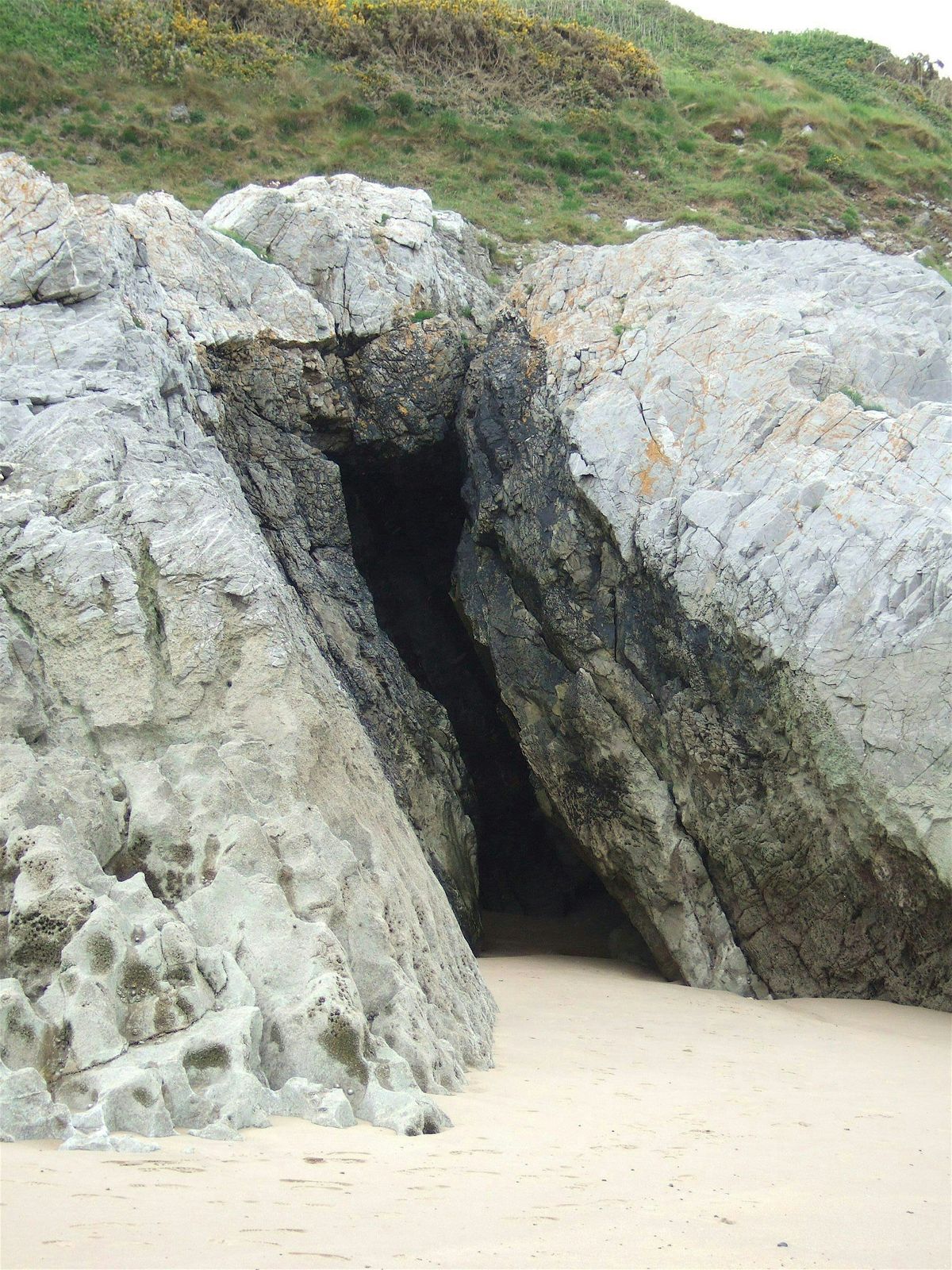 Explore Gower\u2019s sea caves, geology and fossils