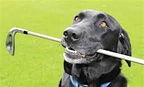 Putnam Service Dogs' 9th Annual Golf Tournament Fundraiser