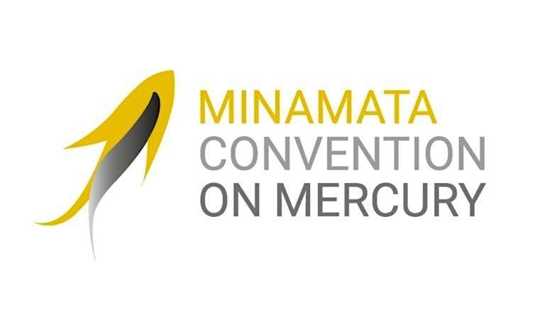 Briefing on Minamata Convention on Mercury COP-6
