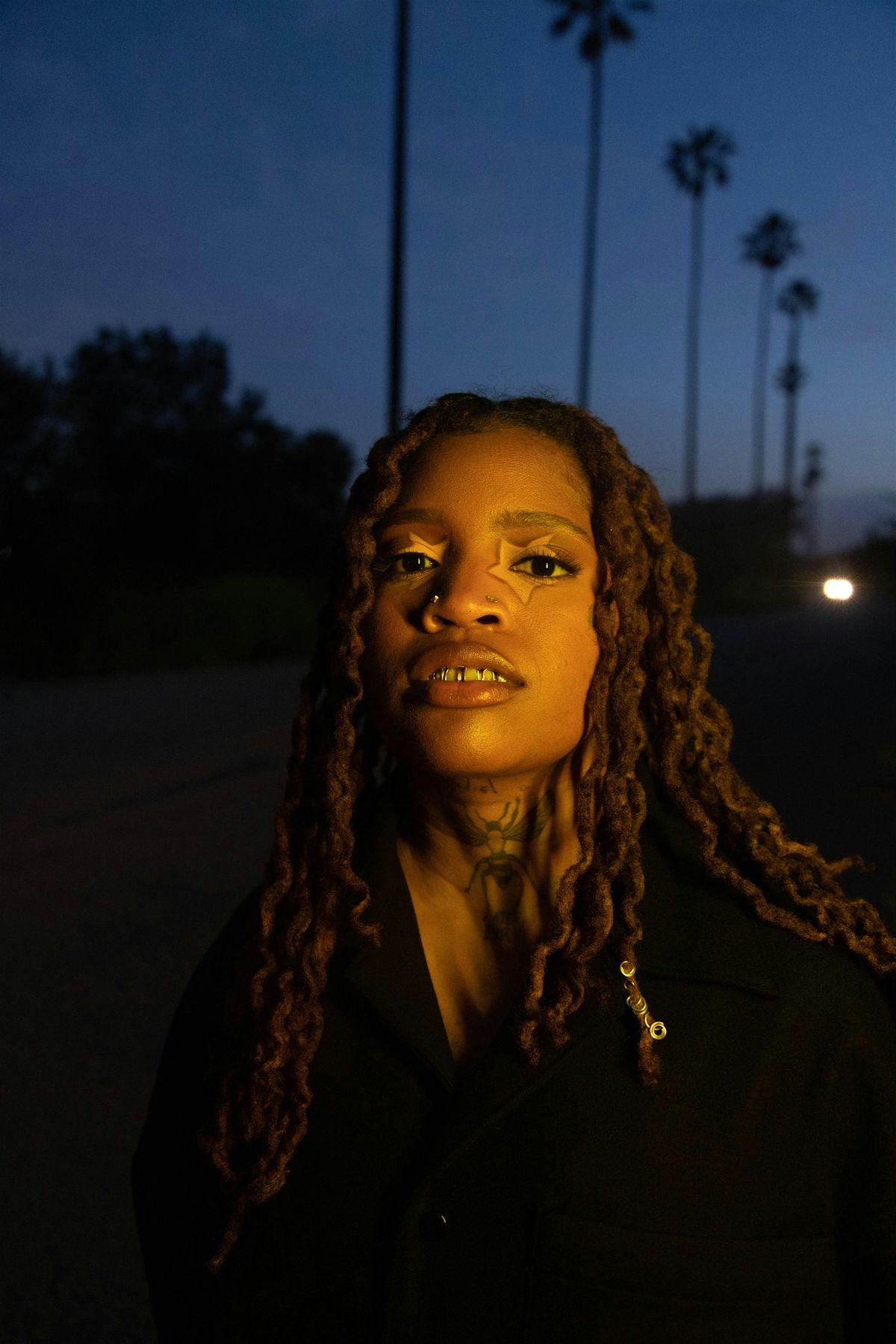 Ambr\u00e9 VIP Meet & Greet Upgrade (Ticketless) \u2014 LOS ANGELES - NIGHT 1