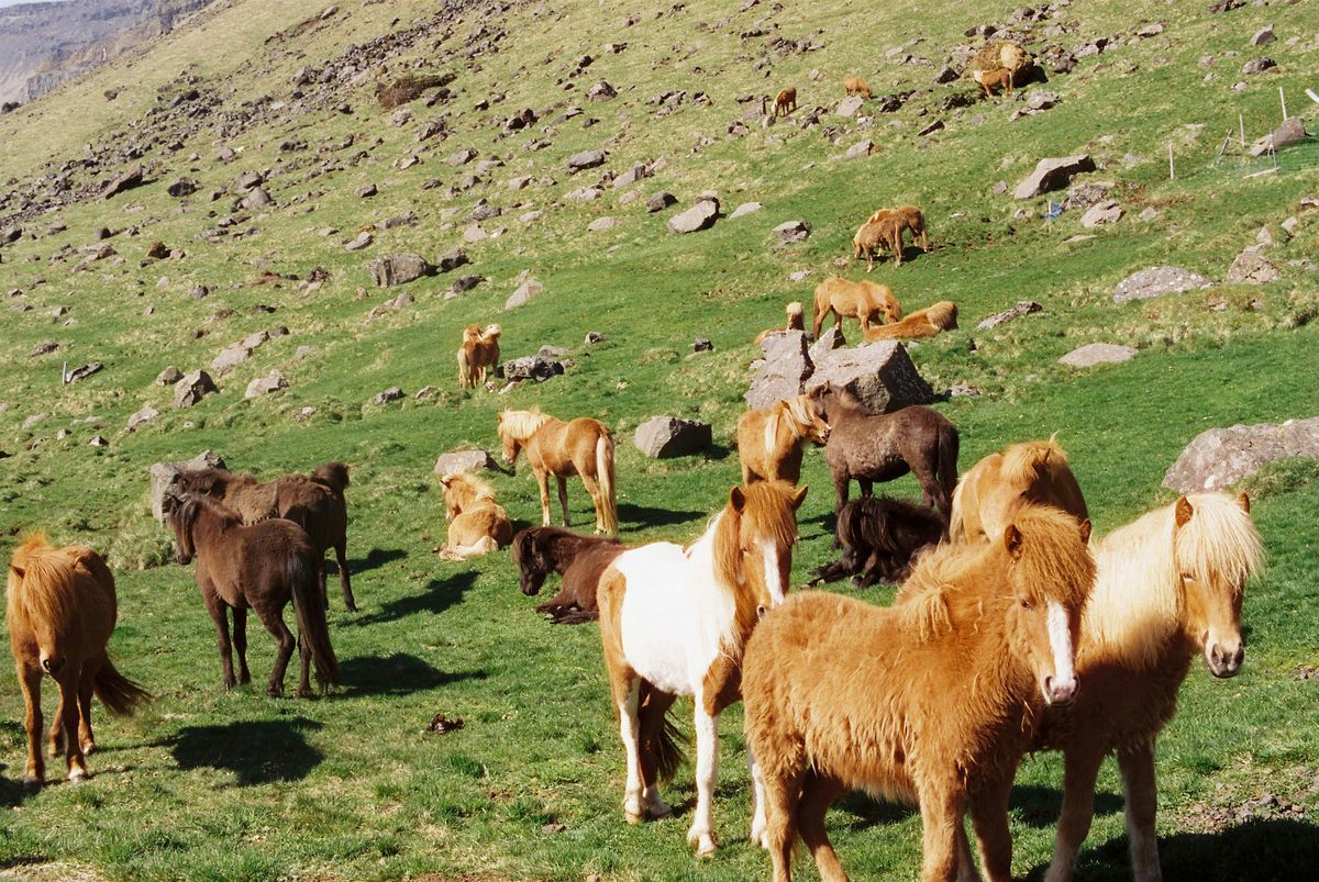 Book Launch: All Is Full of Love by Bryanna Bennett