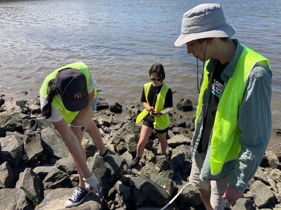 Quarterly Monitoring along the Brisbane River, Port of Brisbane