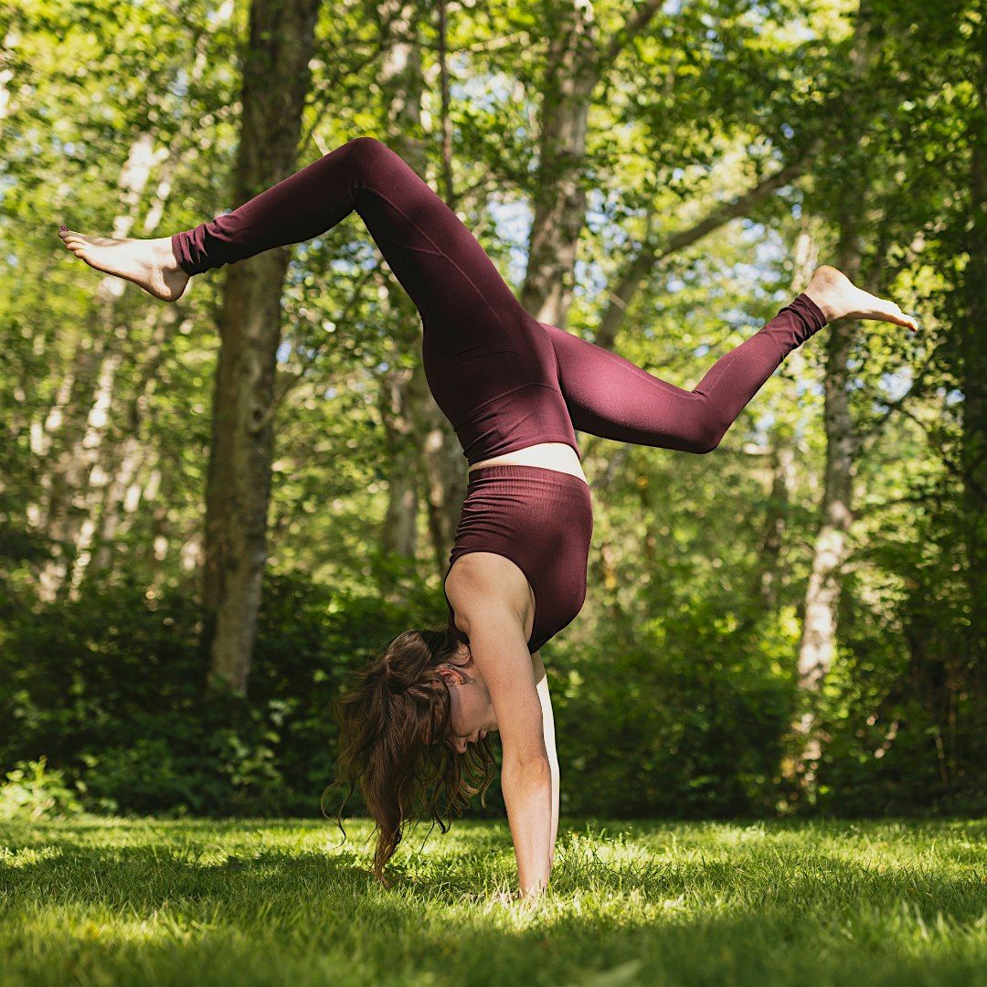 The Foundations Of Flight- Arm Balance Workshop