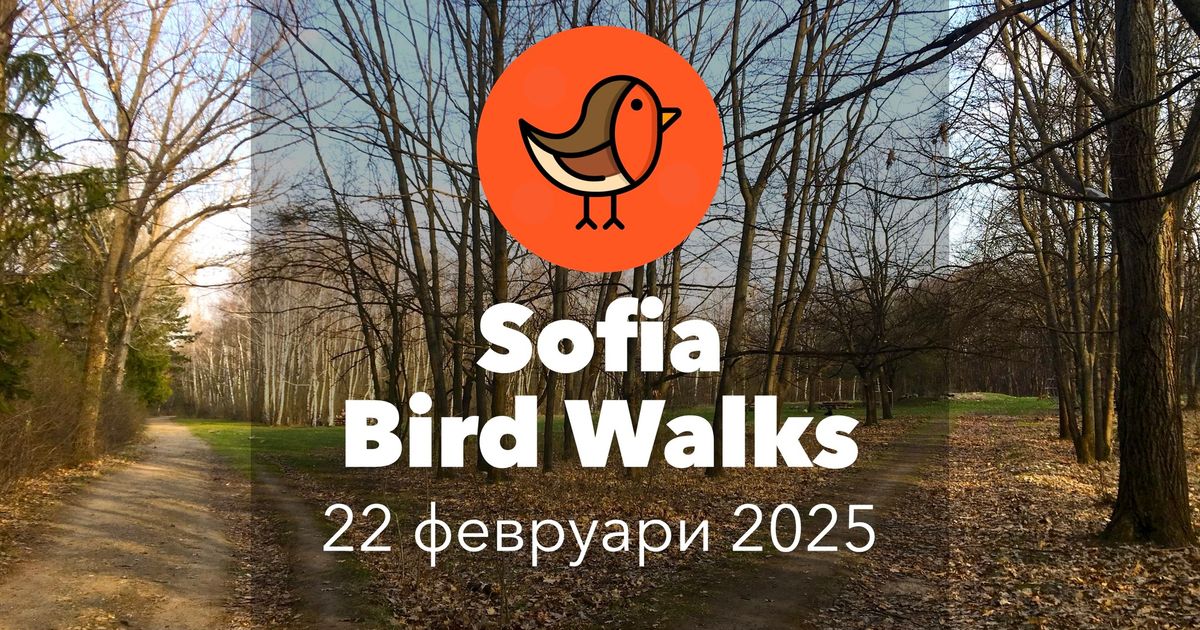 Sofia Bird Walks (22.02.2025) - \u0417\u0430\u043f\u0430\u0434\u0435\u043d \u043f\u0430\u0440\u043a