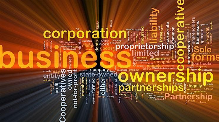 Which Business Entity is Best for You?