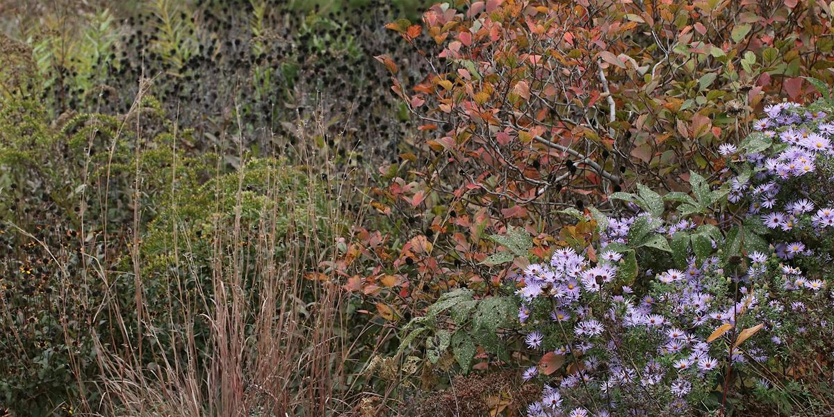Pollinator Garden Tour