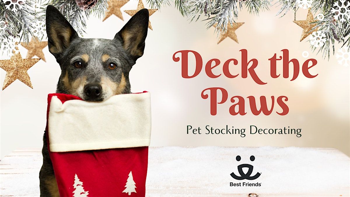 Deck the Paws: Pet Stocking Decorating