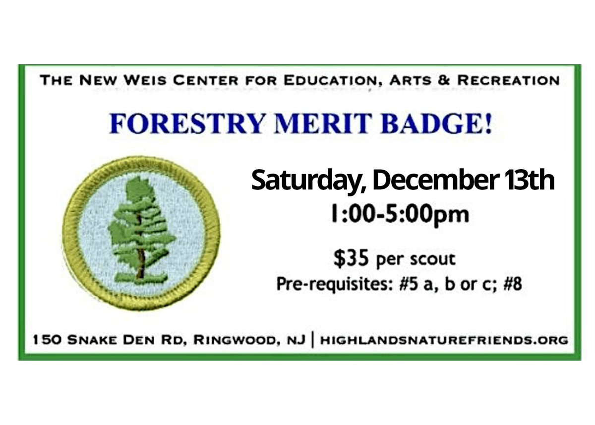 Forestry Merit Badge