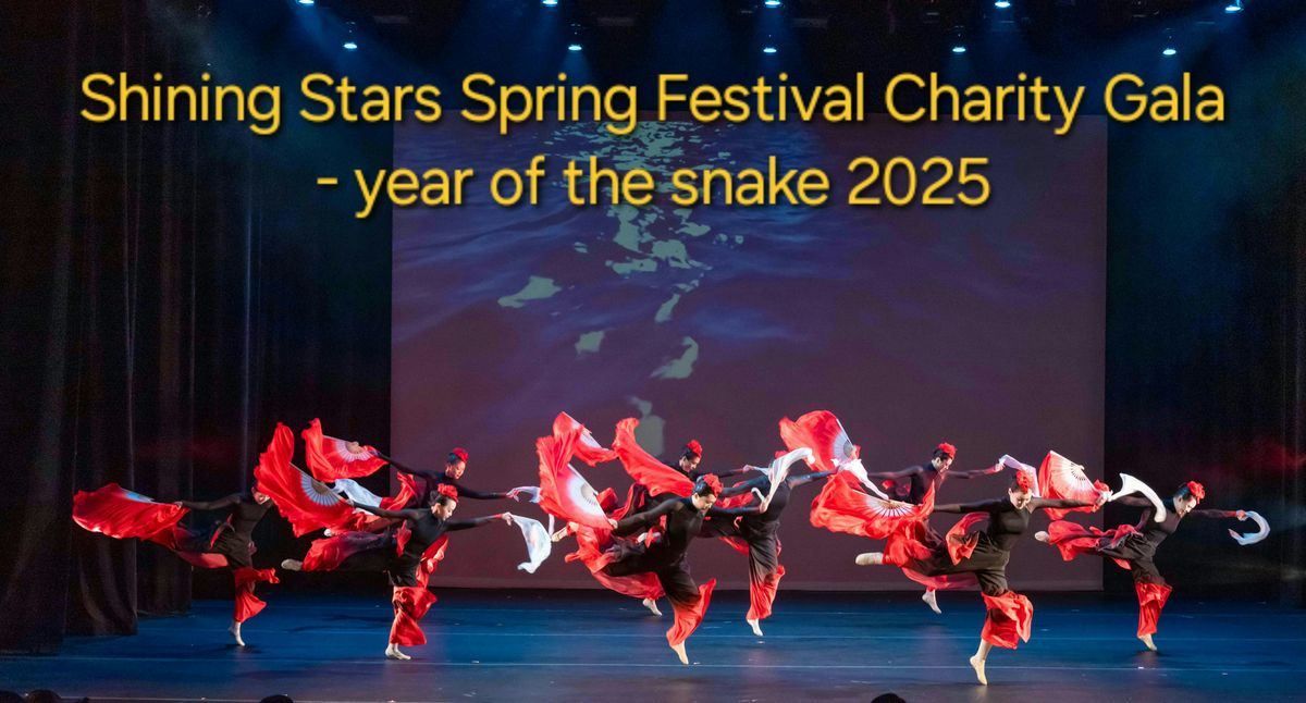 Shining Stars Spring Festival Charity Gala - Year of the Snake 2025