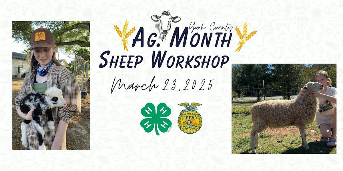 York County  Sheep Workshop at Baker Farm