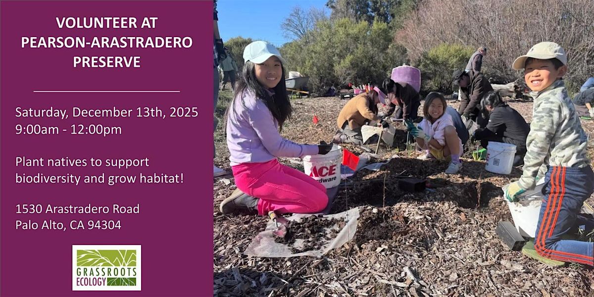 Volunteer Outdoors in Palo Alto at Pearson-Arastradero Preserve