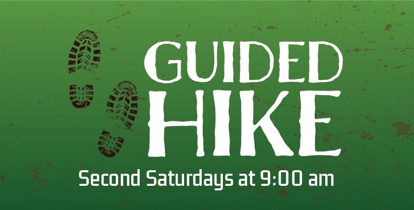 Guided Hike