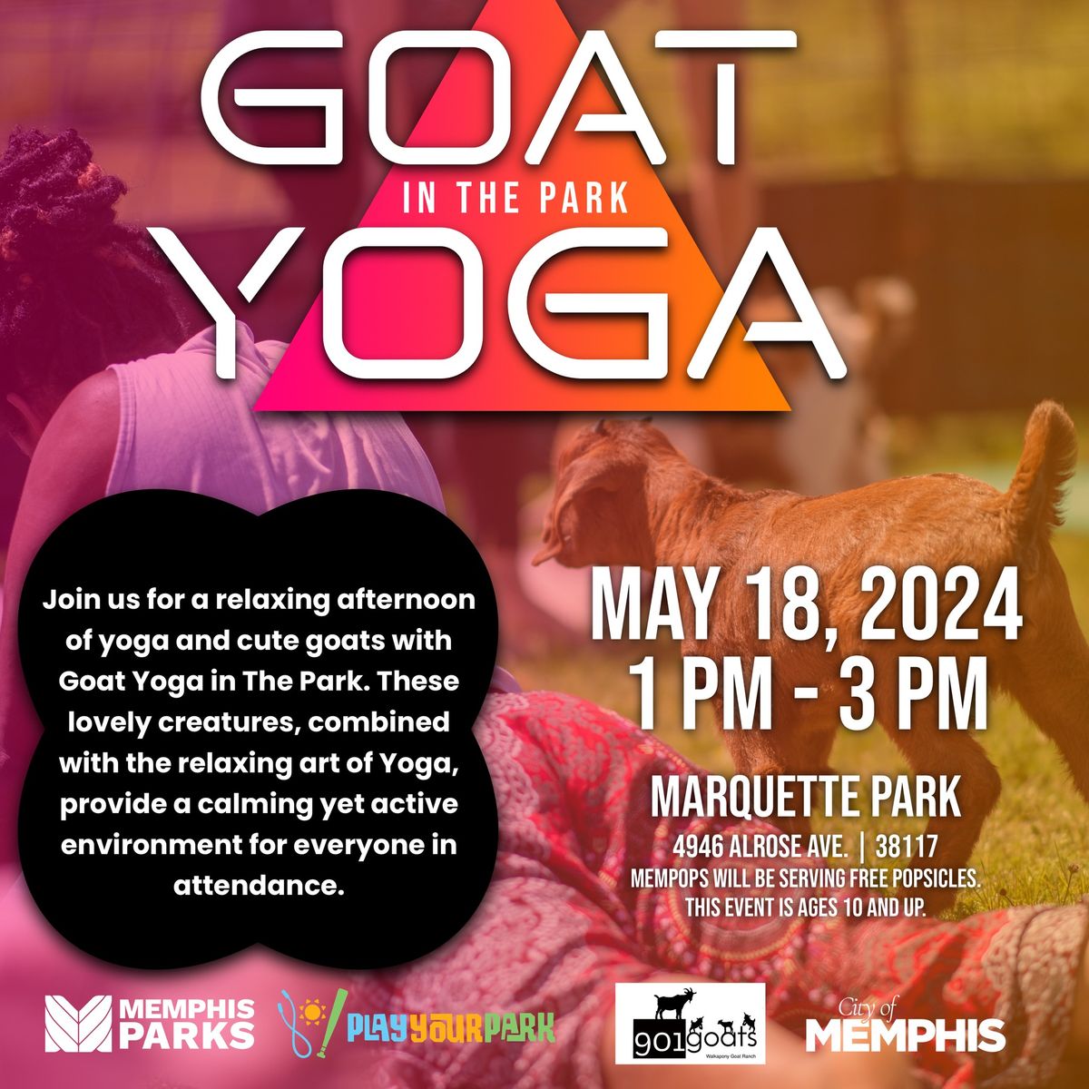 Goat Yoga in the Park