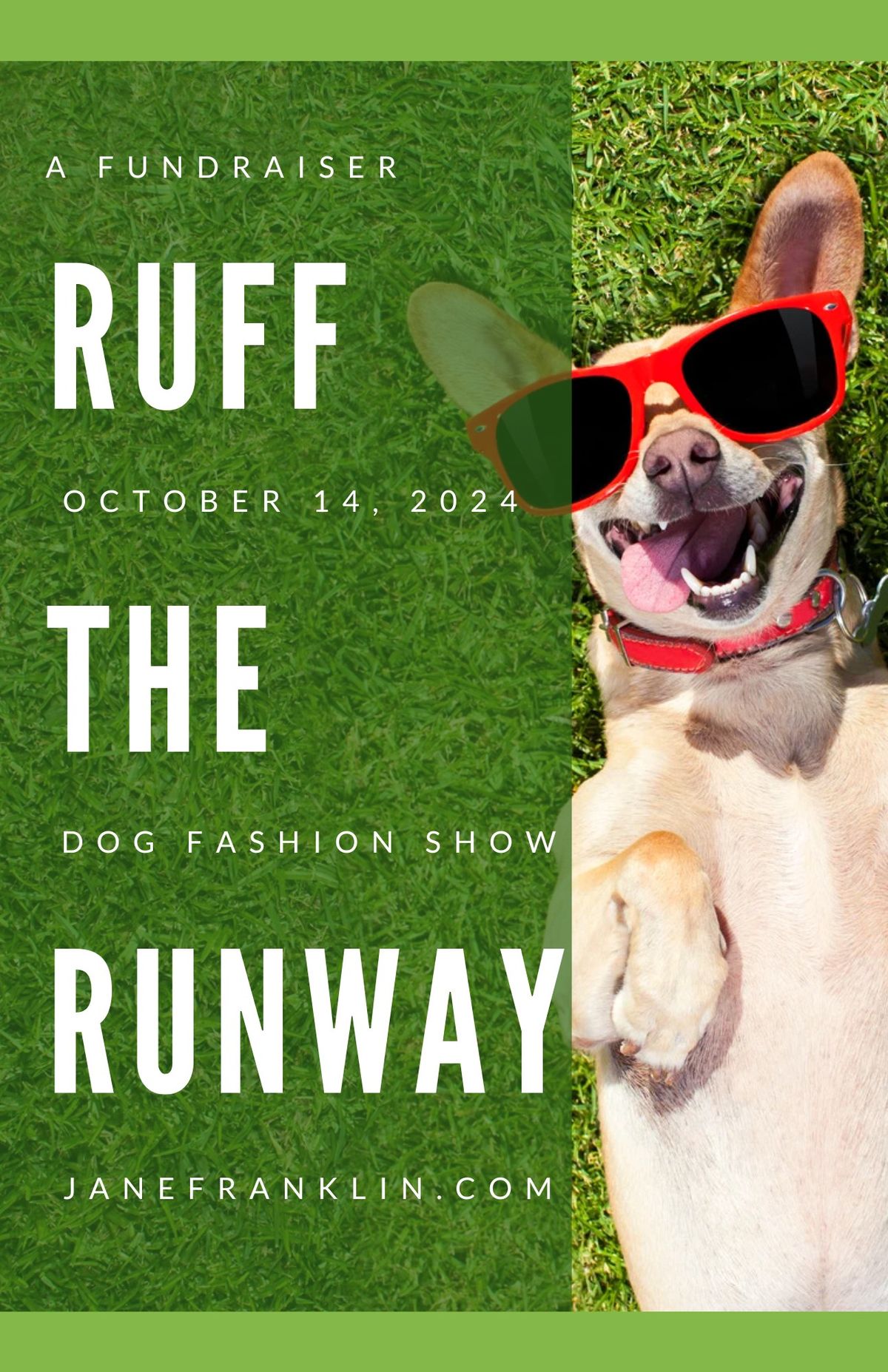 Ruff the Runway - A dog fashion show and fundraiser!