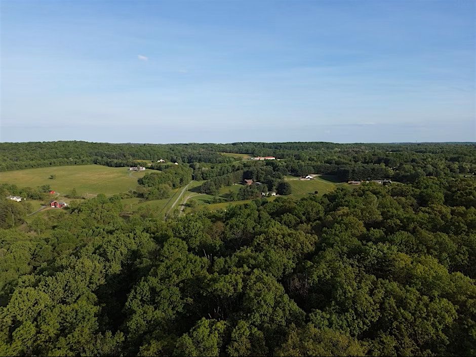 A Date Night Adventure! - Mount Airy Mayhem Treasure Hunt