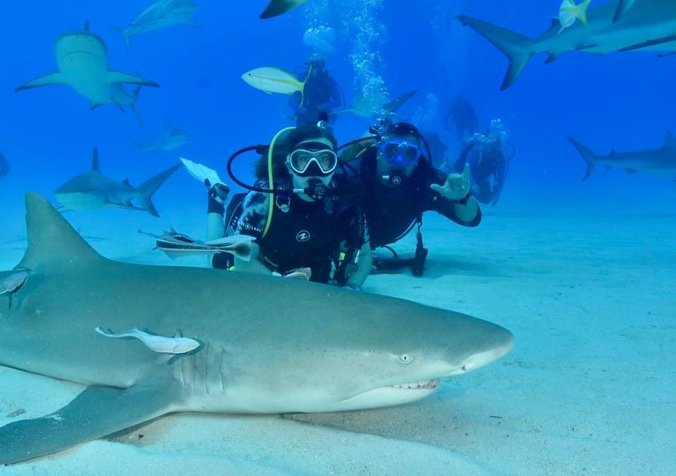 Shark Conservation Diver 