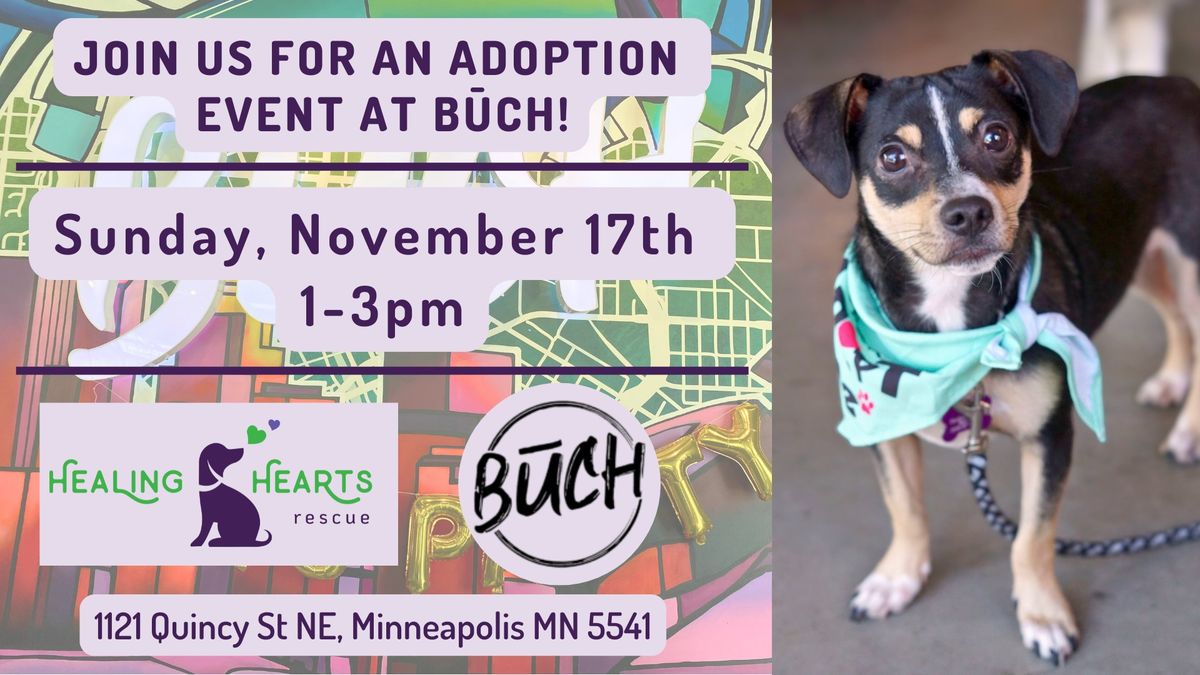 Adoption Event at Buch Fermentary & Taproom