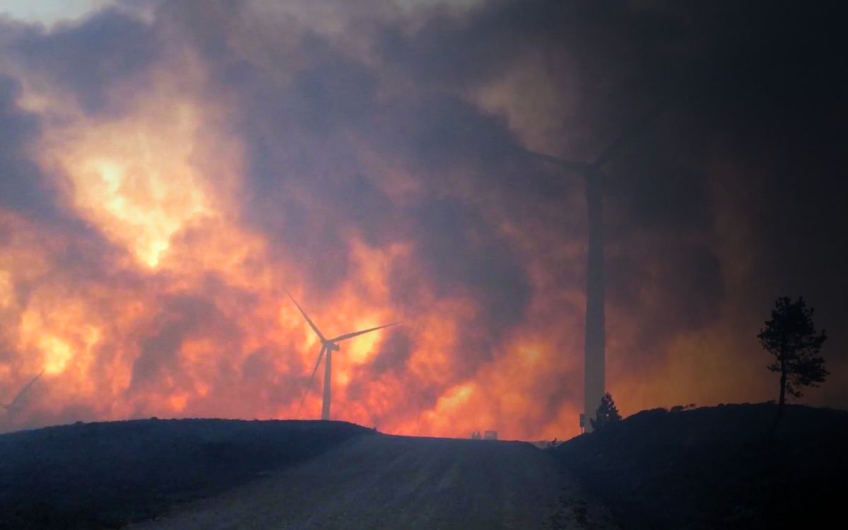 UK Wildfire Conference 2024: Resilience in a changing world