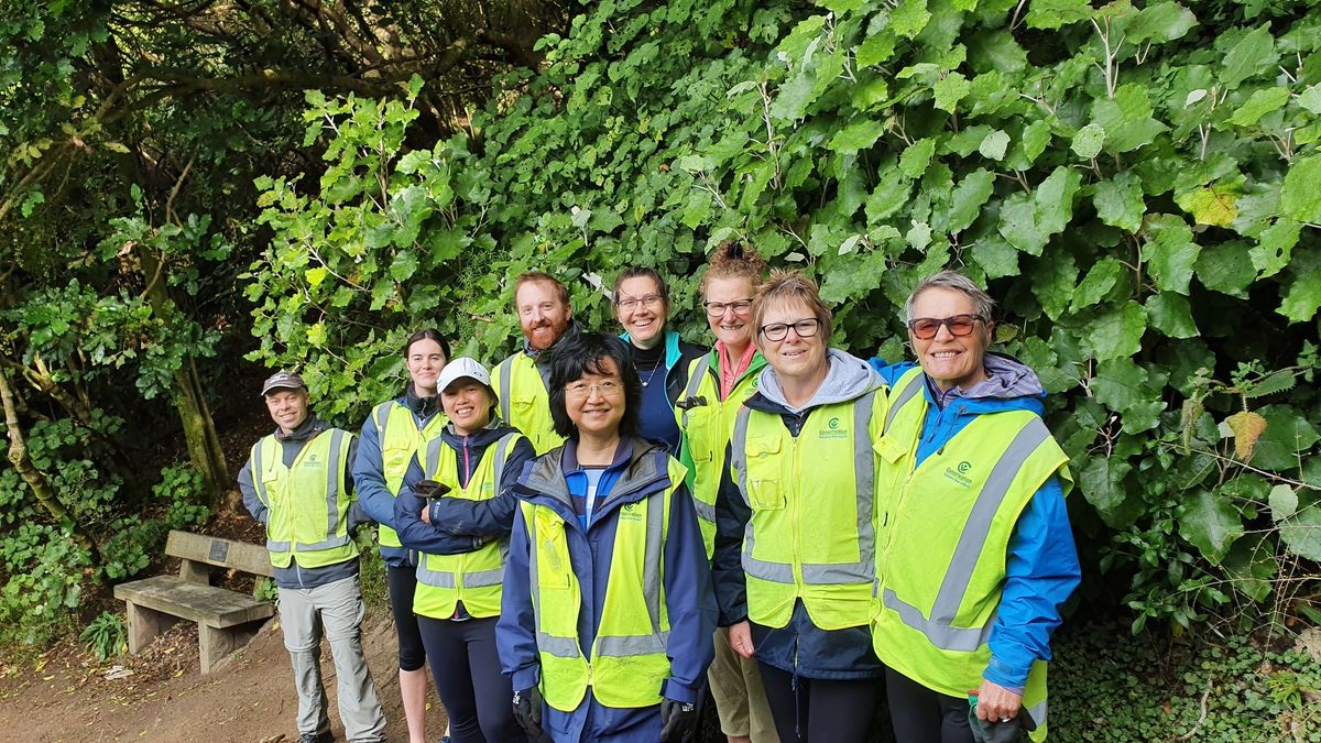 Tawatawa Reserve Tree Planting - \u014cwhiro Stream Restoration Project