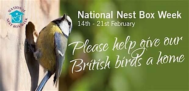 Nest Box Building with Durham Wildlife Trust