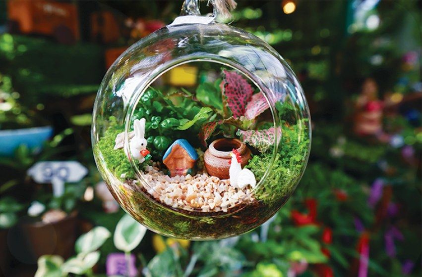 One Day Workshop: Hanging Fairy Garden