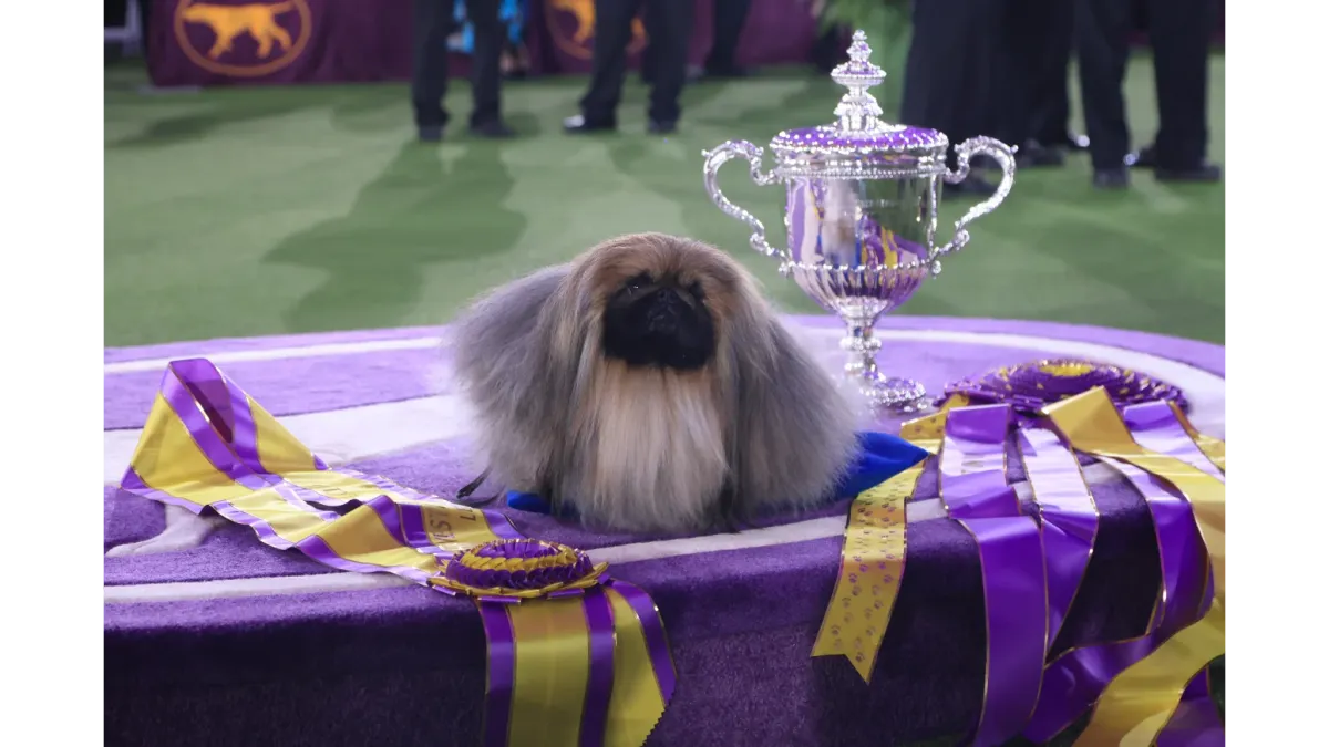 Parking Westminster Kennel Club Dog Show - Daytime Events