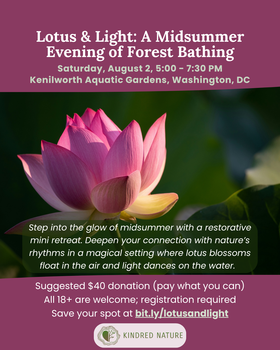 Rhythms of Belonging at Greenville Municipal Auditorium