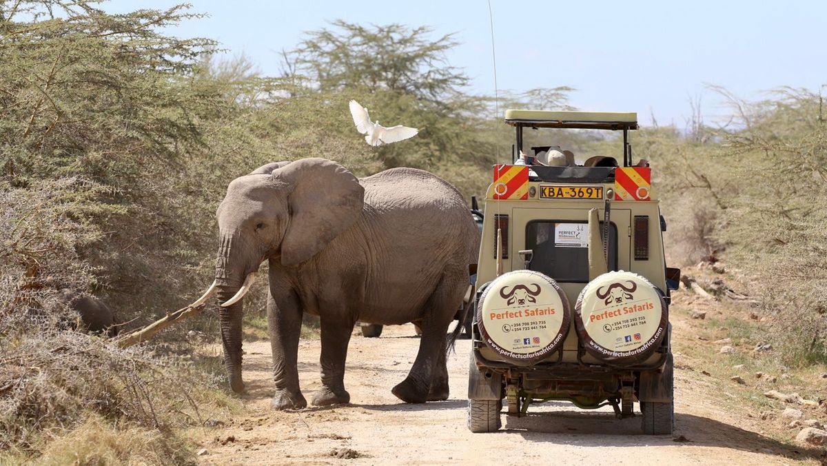 14 DAYS Best of Kenya and Tanzania small group safari