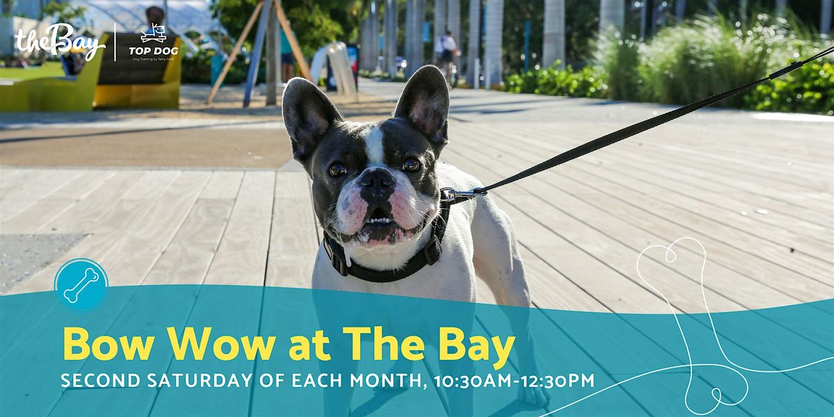 Bow Wow at The Bay