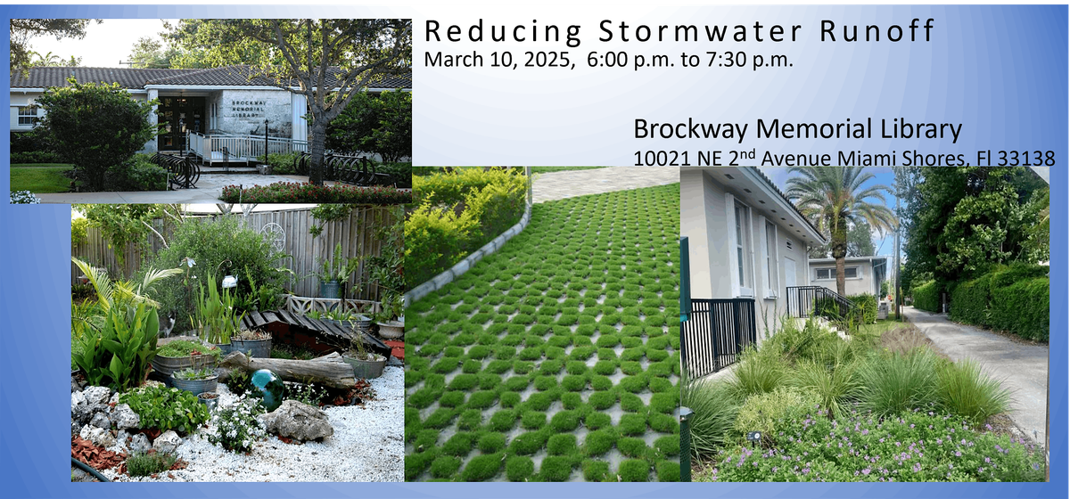 Reducing Stormwater Runoff in Our Backyards