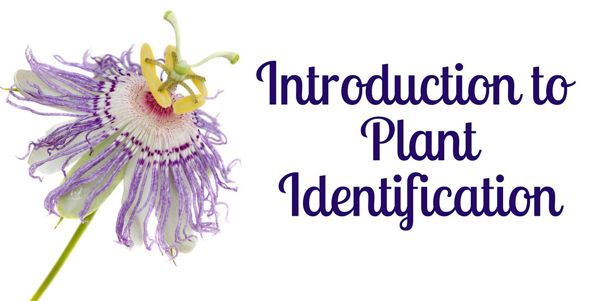 Introduction to Plant Identification