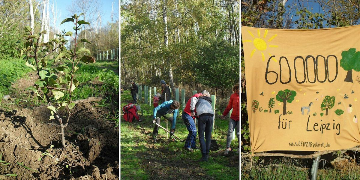 Pflanzaktion im KGV "Naturheilkunde" Gohlis